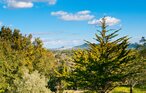 Ferienhaus - Santa Maria, Arta , Spanien - EMF156 21