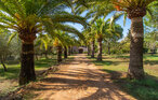 Ferienhaus - S'Erisal, Alaro , Spanien - EMF542 20