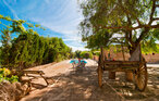 Ferieleilighet - Agroturismo Bona Vista, Manacor , Spania - EMF751 9