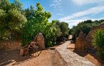 Ferieleilighet - Agroturismo Bona Vista, Manacor , Spania - EMF751 26