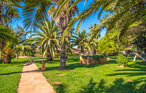 Location de vacances - Casa Torrent, Campos , Espagne - EMF592 13