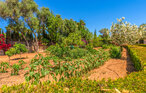 Ferienhaus - Villa Florentina, Llucmajor , Spanien - EMI533 23
