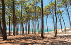 Feriehus - Arcachon , Frankrike - FAG195 26