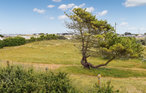 Holiday home - Kerlouan , France - FBF240 18