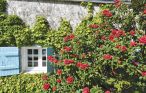 Feriehuse - Saint Pabu , Frankrig - FBF325 16