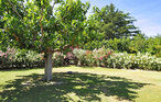 Holiday home - Paradou , France - FCS451 11