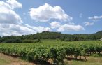 Apartment - Lorgues , France - FCV345 21