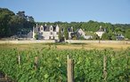Ferienhaus - Chinon , Frankreich - FEI018 9