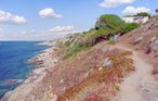 Semesterhus - Calvi , Frankrike - FKO116 27