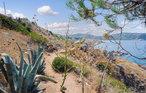 Semesterhus - Calvi , Frankrike - FKO116 24