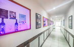 Apartment - Saint-Chinian , France - FLH646 11