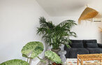Feriehuse - Perpignan , Frankrig - FLP315 10