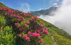 Ferienwohnung - Saint Lary Soulan , Frankreich - FMP025 12