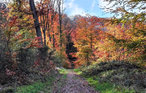 Feriehus - Lyons-la-Forêt , Frankrike - FNE023 20