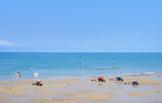 Feriehuse - Pirou-Plage , Frankrig - FNM229 16