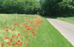 Feriehuse - Houlle , Frankrig - FNP077 22