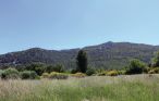 Ferieleilighet - Gemenos , Frankrike - FPB259 8