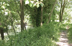 Semesterhus - L'Isle sur la Sorgue , Frankrike - FPV741 24