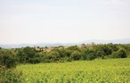 Location de vacances - Orgnac l'Aven , France - FRA142 25