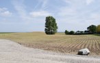 Ferieleilighet - Vindeby/Illebølle , Danmark - G10429 15
