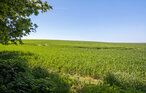 Feriehuse - Emmerbølle , Danmark - G11259 14