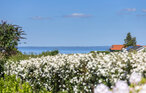 Feriehuse - Skåstrup Strand , Danmark - G51886 2