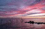 Feriehuse - Bro Strand , Danmark - G51609 26