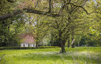 Feriehus - Horne , Danmark - G52568 11