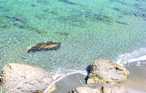 Semesterhus - Abelas-Paros , Grekland - GKP001 38