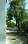 Semesterhus - Afissos/Pelion , Grekland - GPI125 16