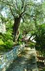 Semesterhus - Afissos/Pelion , Grekland - GPI125 17