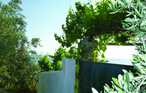 Semesterhus - Afissos/Pelion , Grekland - GPI125 18