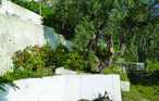 Semesterhus - Afissos/Pelion , Grekland - GPI125 14