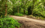 Location de vacances - Erm , Pays-Bas - HDR304 34