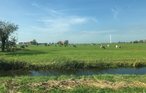 Ferienhaus - Tzummarum , Niederlande - HFR320 20