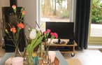 Feriehuse - Oudemirdum , Holland - HFR036 15