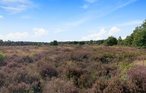 Feriehus - Putten , Nederland - HGE164 21