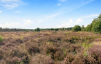 Feriehus - Otterlo , Nederland - HGE078 15