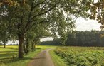 Feriehus - Neede , Nederland - HGE063 16