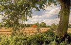Feriehus - Vlagtwedde , Nederland - HGR037 20