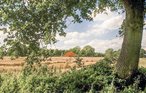 Ferienhaus - Vlagtwedde , Niederlande - HGR020 25