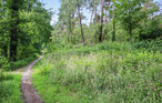 Ferienhaus - Lage Mierde , Niederlande - HNB080 18