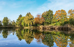 Feriehus - Chaam , Nederland - HNB220 12