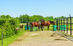 Feriehus - Udenhout , Nederland - HNB085 6