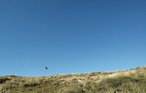 Feriehuse - Egmond aan zee , Holland - HNH028 13
