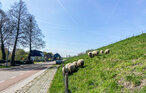 Ferienhaus - Andijk , Niederlande - HNH429 19