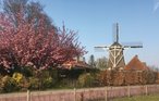 Feriehuse - Ommen , Holland - HOV406 33
