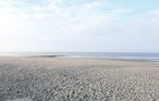 Ferienhaus - Noordwijk , Niederlande - HZH014 17