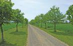 Ferieleilighet - Boderne , Danmark - I53524 17