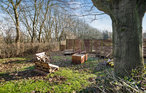 Ferieleilighet - Hasle , Danmark - I55012 16